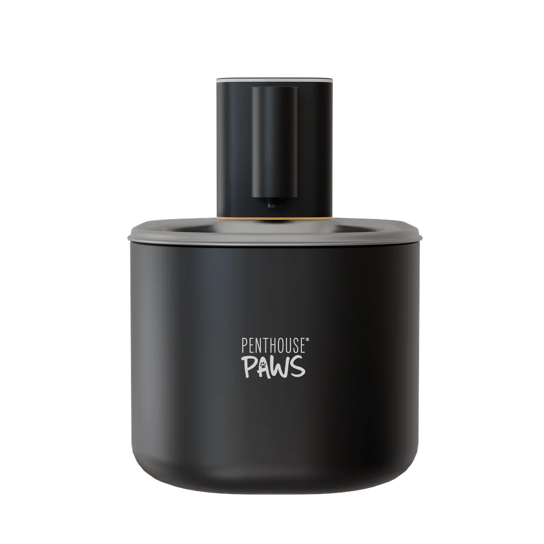 Smart Wireless Water Fountain - Image 7