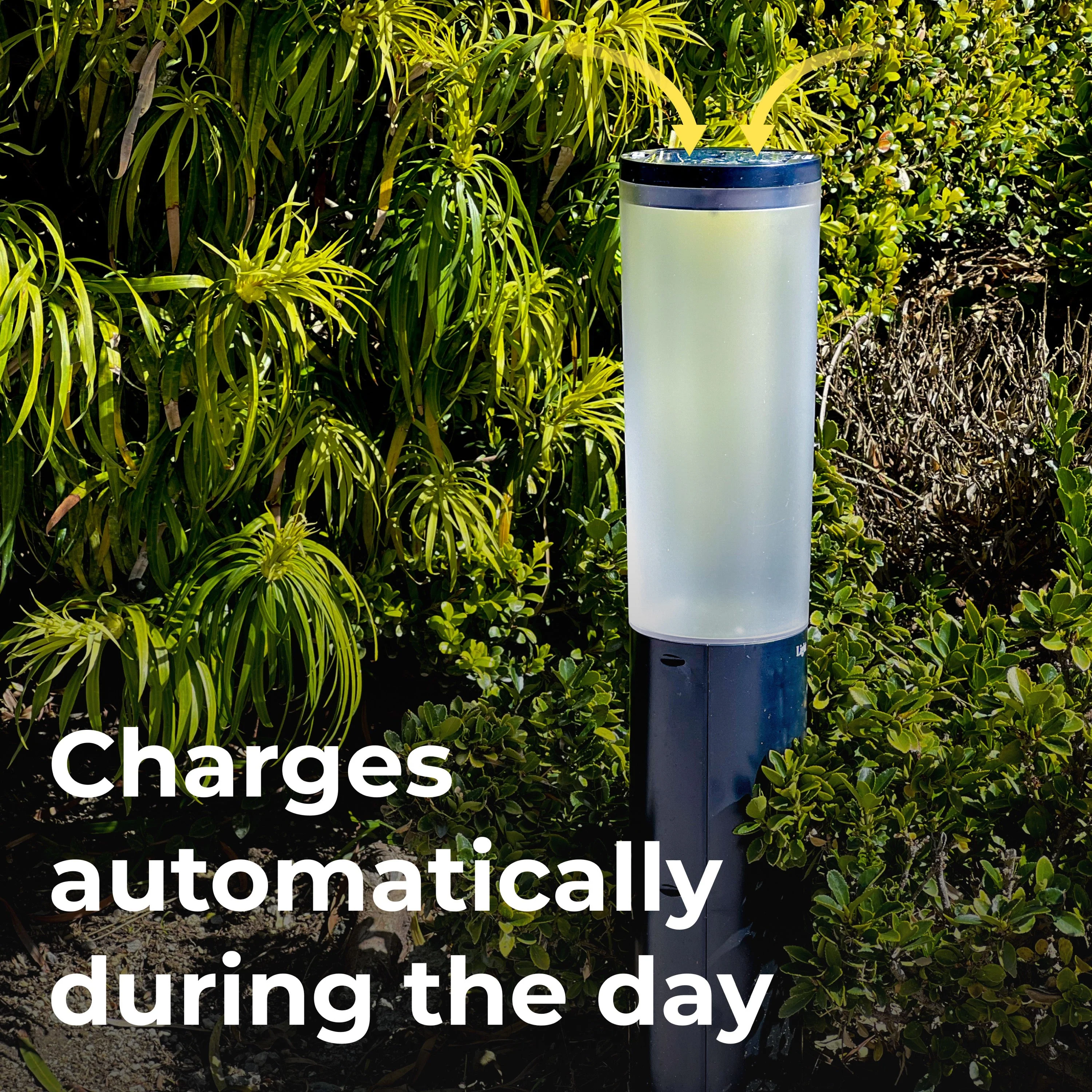 Solar Pathway Light (Dual Lighting Modes) - Image 4